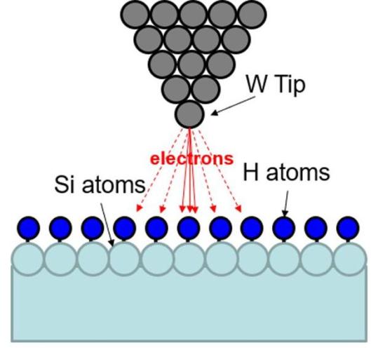 633542ced7d7d.jpg 3.jpg