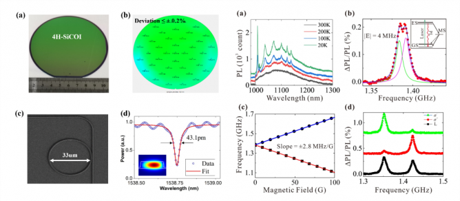 6363613b9b1ea.png 4.png