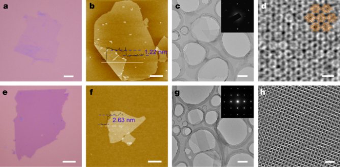 637894a48e7ab.png 4.png